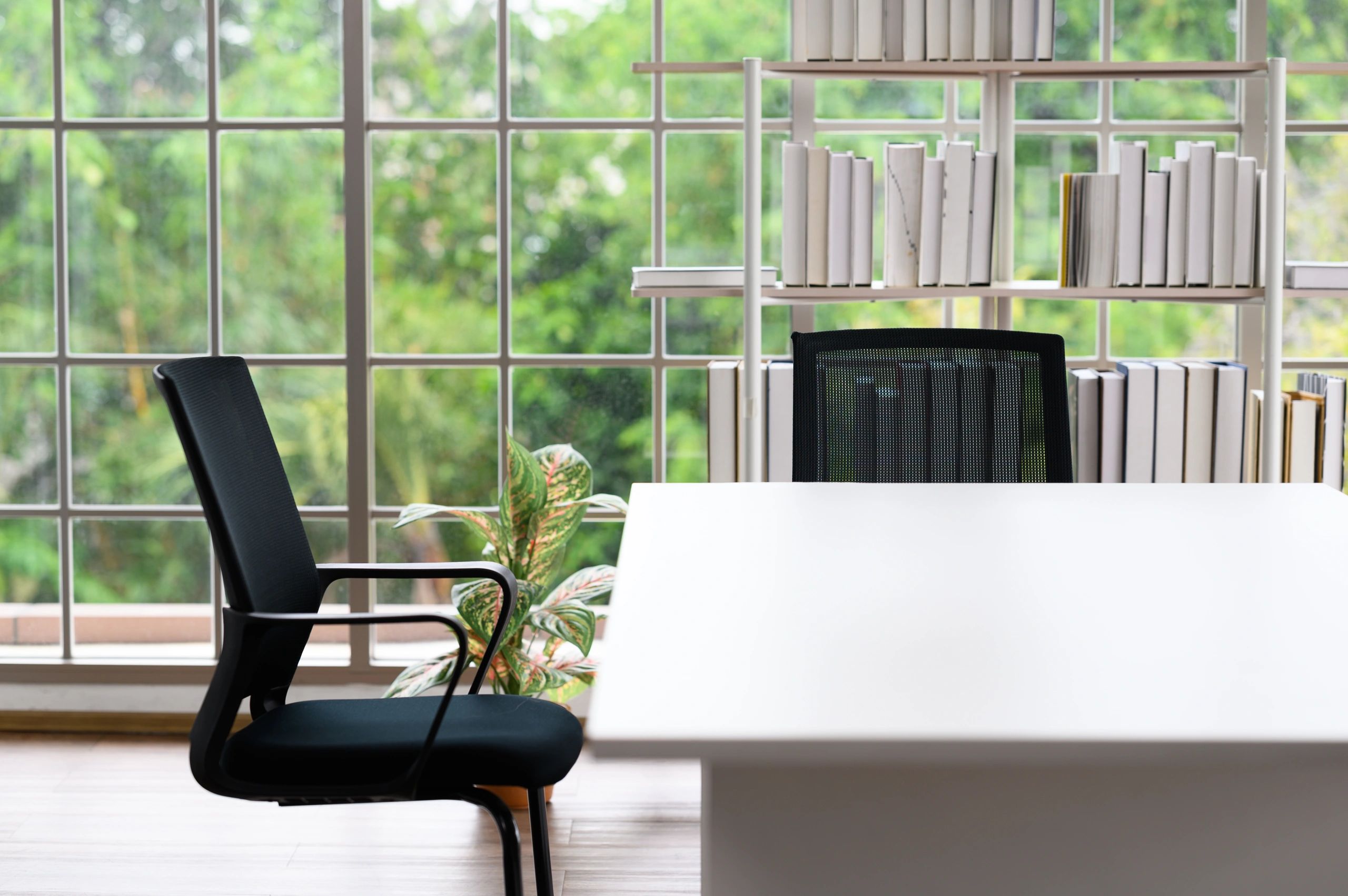Quiet office workspace with desk and shelving